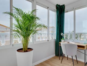 Bestaand - Townhouse / Semi-detached - Orihuela Costa