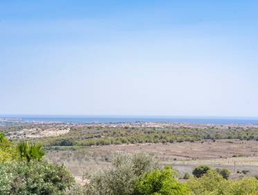 Bestaand - Townhouse / Semi-detached - San Miguel de Salinas - San Miguel