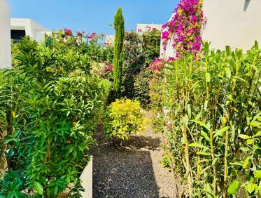 Bestaand - Villa - Algorfa - La Finca Golf