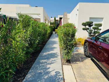 Bestaand - Villa - Algorfa - La Finca Golf