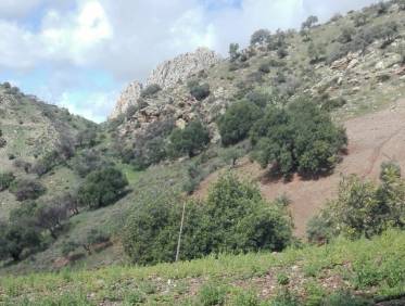 Bestaand - Villa - Álora