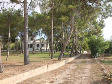 Bestaand - Villa - Aspe - Pedanías Este