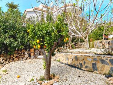 Bestaand - Villa - Campoamor - Dehesa de campoamor