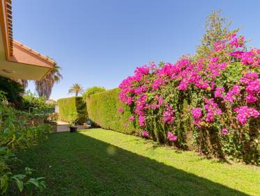 Bestaand - Villa - Campoamor