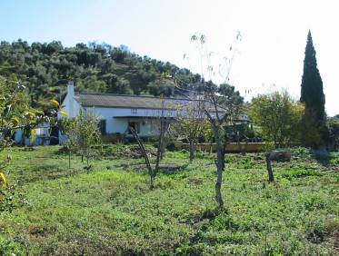 Bestaand - Villa - El Gastor