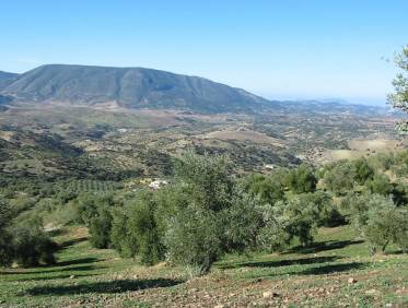 Bestaand - Villa - El Gastor