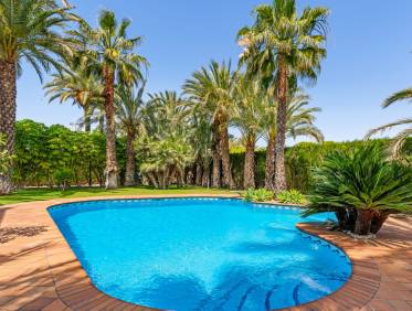 Bestaand - Villa - Elche - Elche/Elx