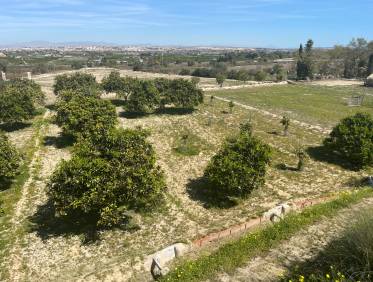 Bestaand - Villa - Guardamar del segura - Valencian Community