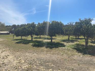 Bestaand - Villa - Guardamar del segura - Valencian Community