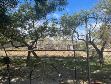 Bestaand - Villa - Guardamar del segura - Valencian Community