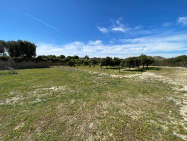 Bestaand - Villa - Guardamar del segura - Valencian Community