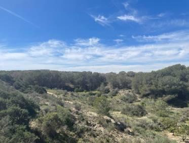 Bestaand - Villa - Guardamar del segura - Valencian Community