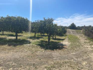 Bestaand - Villa - Guardamar del segura - Valencian Community