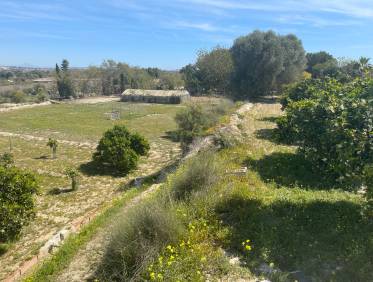 Bestaand - Villa - Guardamar del segura - Valencian Community