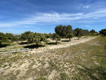 Bestaand - Villa - Guardamar del segura - Valencian Community