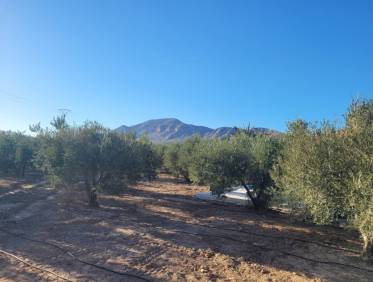 Bestaand - Villa - Hondón de las Nieves - Hondón de las Nieves / el Fondó de les Neus