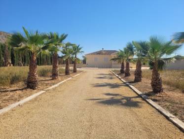 Bestaand - Villa - Hondón de las Nieves - Hondón de las Nieves / el Fondó de les Neus