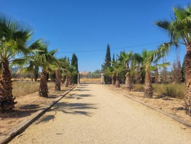 Bestaand - Villa - Hondón de las Nieves - Hondón de las Nieves / el Fondó de les Neus