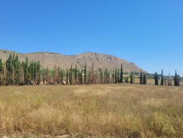 Bestaand - Villa - Hondón de las Nieves - Hondón de las Nieves / el Fondó de les Neus