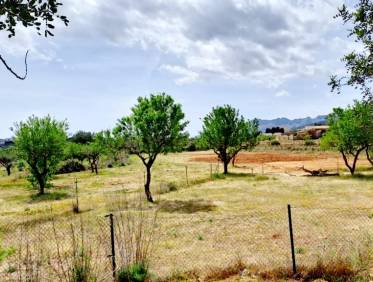 Bestaand - Villa - Jalón Valley - Jalon