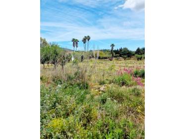 Bestaand - Villa - Jalón Valley - Jalon