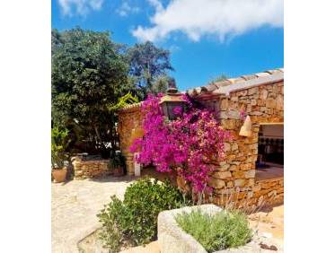 Bestaand - Villa - Jalón Valley - Jalon