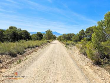 Bestaand - Villa - Jumilla