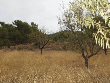 Bestaand - Villa - La Zarza