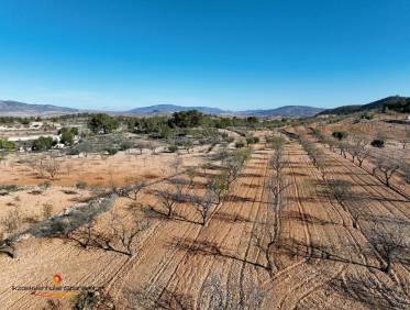 Bestaand - Villa - La Zarza