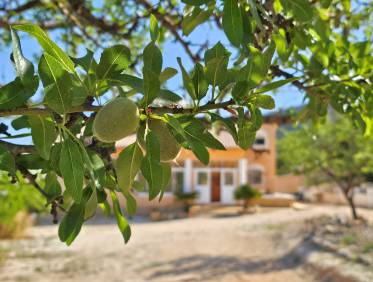 Bestaand - Villa - La Zarza