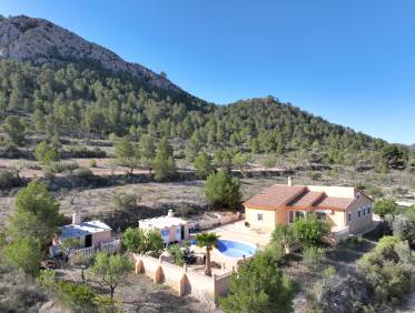 Bestaand - Villa - La Zarza