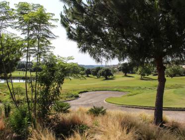 Bestaand - Villa - Las Colinas Golf