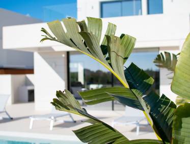 Bestaand - Villa - Los Montesinos