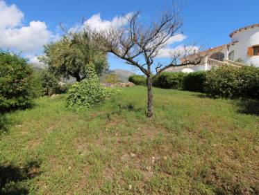 Bestaand - Villa - Orba Valley - Orba Vallei