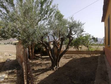Bestaand - Villa - Orihuela Costa - Orihuela