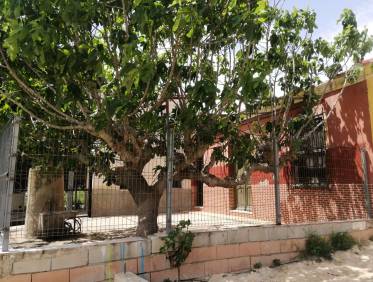 Bestaand - Villa - Orihuela Costa - Orihuela