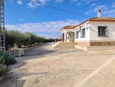Bestaand - Villa - Orihuela Costa - Orihuela