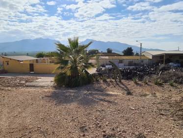 Bestaand - Villa - Orihuela Costa - Orihuela