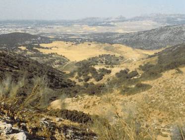 Bestaand - Villa - Ronda