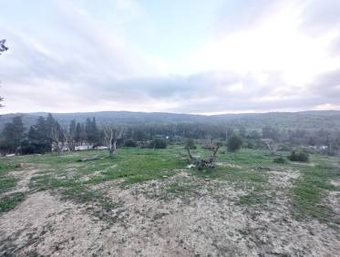 Bestaand - Villa - San Martín del Tesorillo