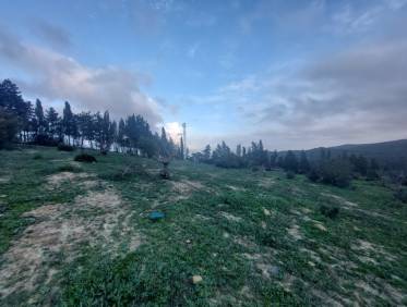 Bestaand - Villa - San Martín del Tesorillo