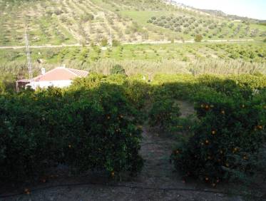 Bestaand - Villa - Tolox