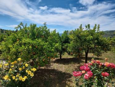 Bestaand - Villa - Tolox