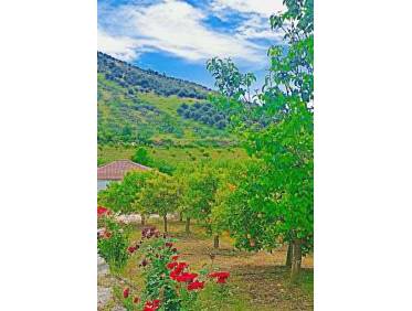 Bestaand - Villa - Tolox