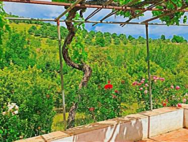 Bestaand - Villa - Tolox