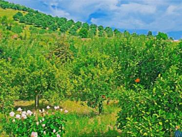 Bestaand - Villa - Tolox