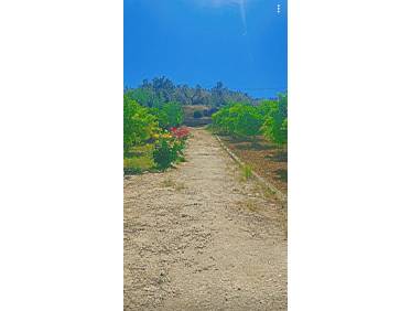 Bestaand - Villa - Tolox