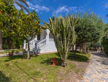 Bestaand - Villa - Torrevieja - Rocio del Mar