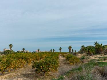 Bestaand - Villa - Torrevieja