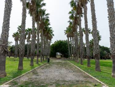 Bestaand - Villa - Torrevieja